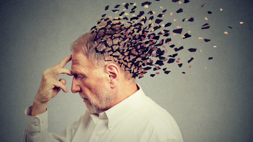 Parkinson Alzheimer Épilepsie les différentes maladies du cerveau
